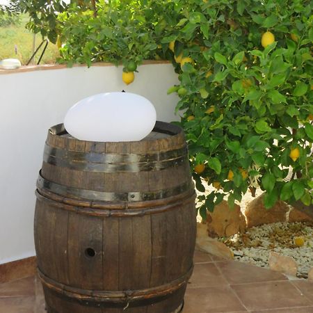 B&B Finca la Manchica Cartagena Esterno foto