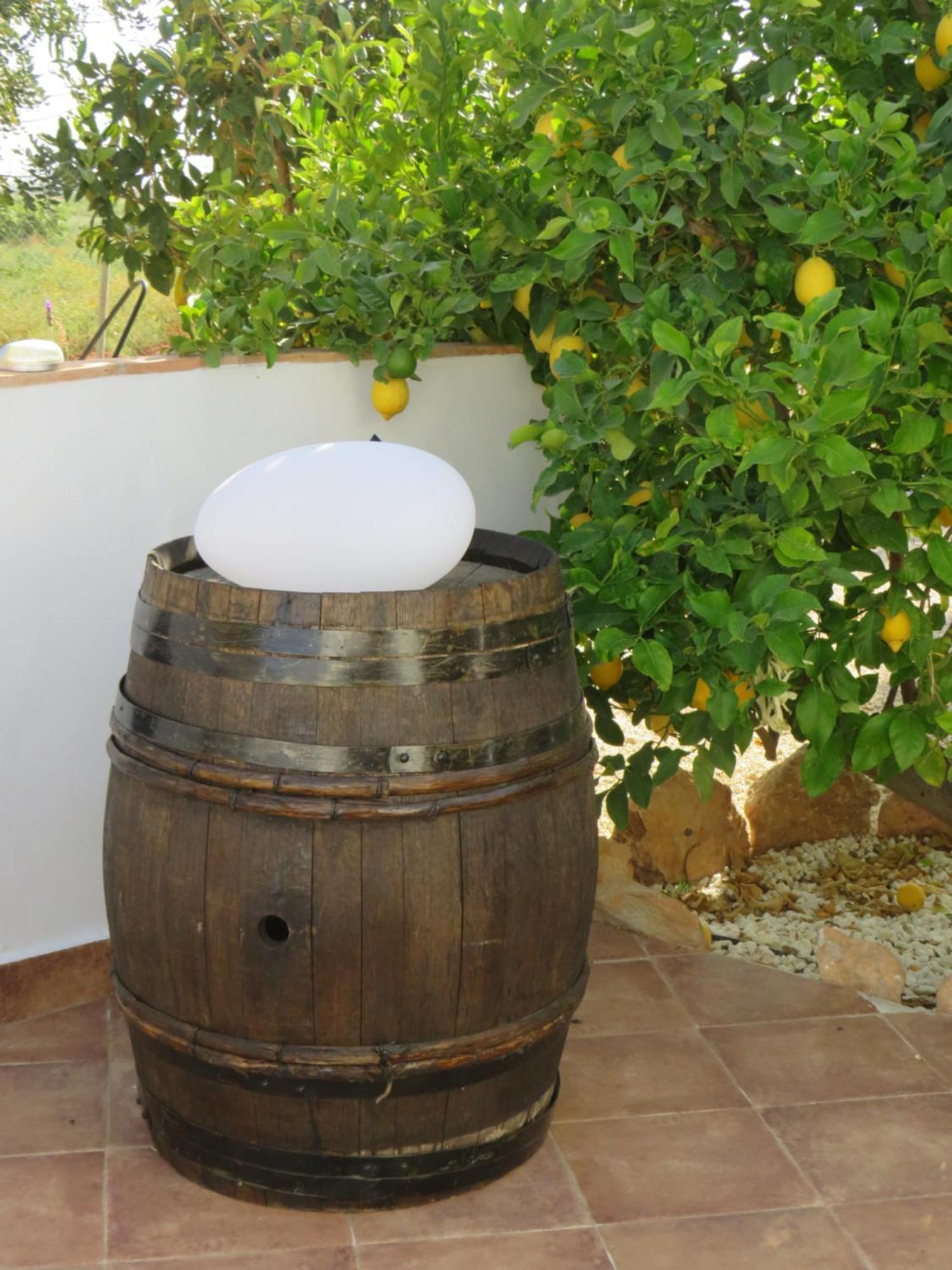B&B Finca la Manchica Cartagena Esterno foto